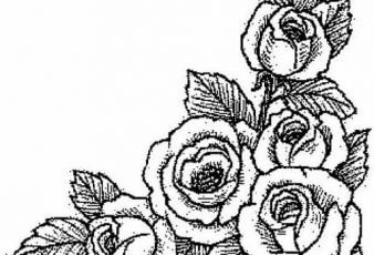 Dibujos de Rosas para Bordar