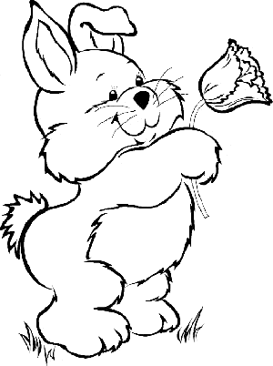 dibujo de conejo enamorado