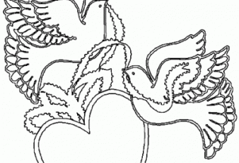 dibujo de palomas enamoradas