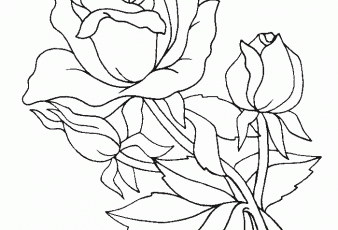 Dibujos de Rosas para colorear